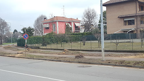 PISTA CICLABILE Busto Arsizio - taglio piante